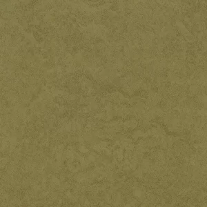 Olive, Eternal Original Kolekcija