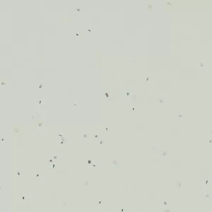 Swedish Grey, Sphera Energetic Kolekcija