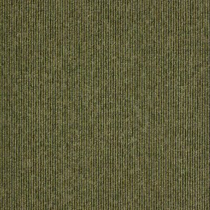 Macaw Stripe Lime / Quartz, Kiliminės plytelės